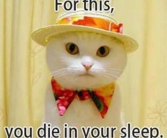 For this you die in your sleep