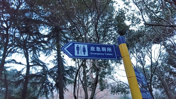 For those really urgent shits