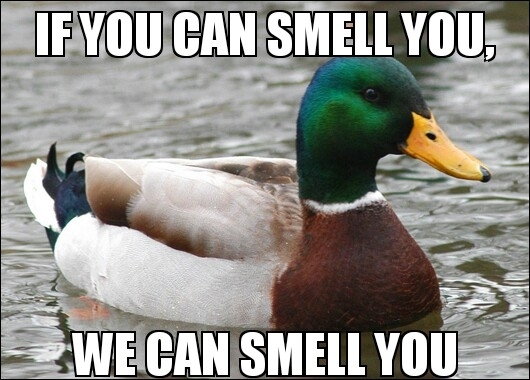 For those who ask themselves can they tell