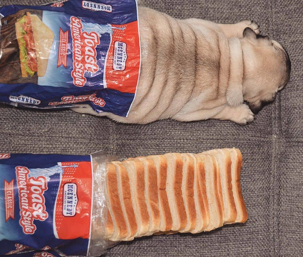 Forbidden loaf of bread