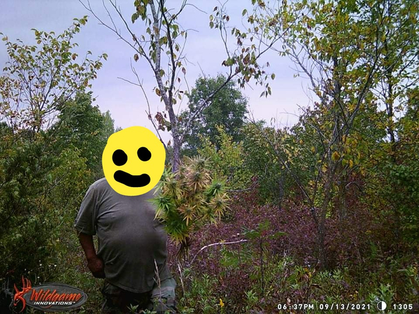 Forest farmer captured on my buddys deer camera