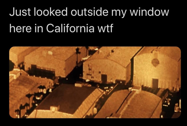 Forest fires are destroying our country 