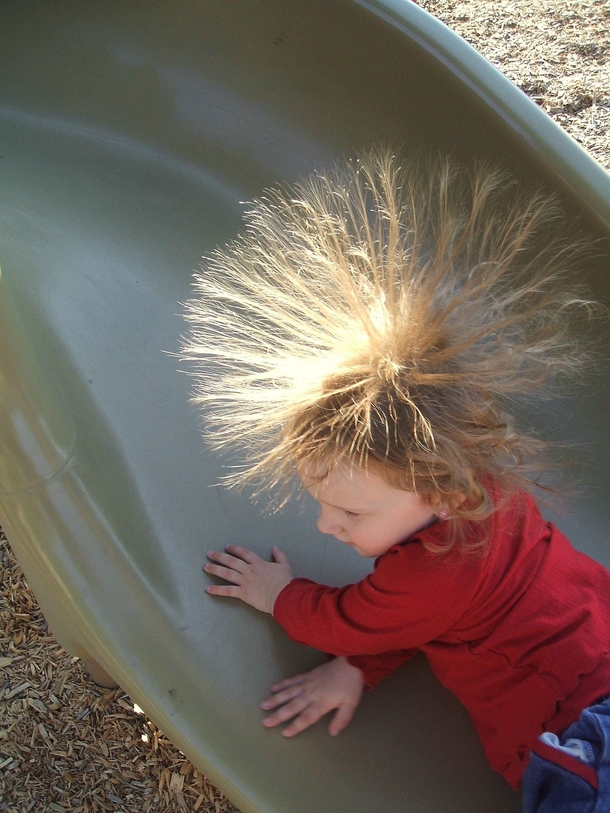 Found a dandelion in the park today She had no idea