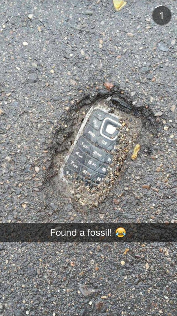 Found a fossil