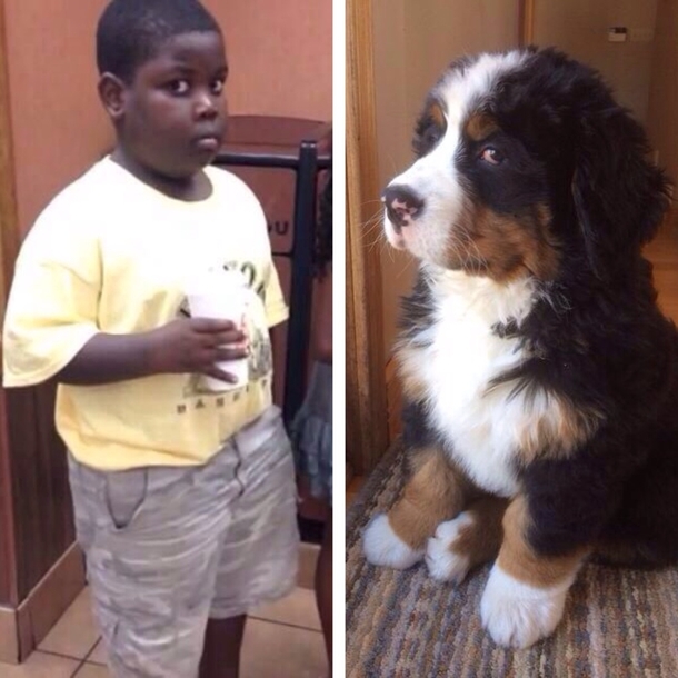 Found a picture of the owner of the New Partner in Crime dog