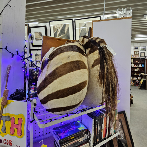 Found a zebra cake while shopping today