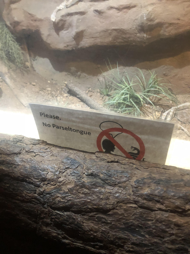 Found at a snake exhibit