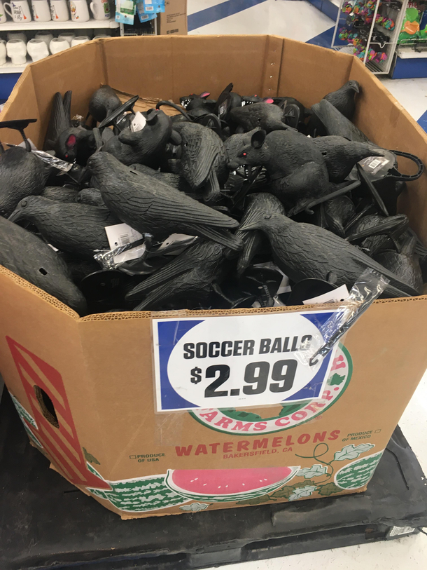 Found at local  cent store