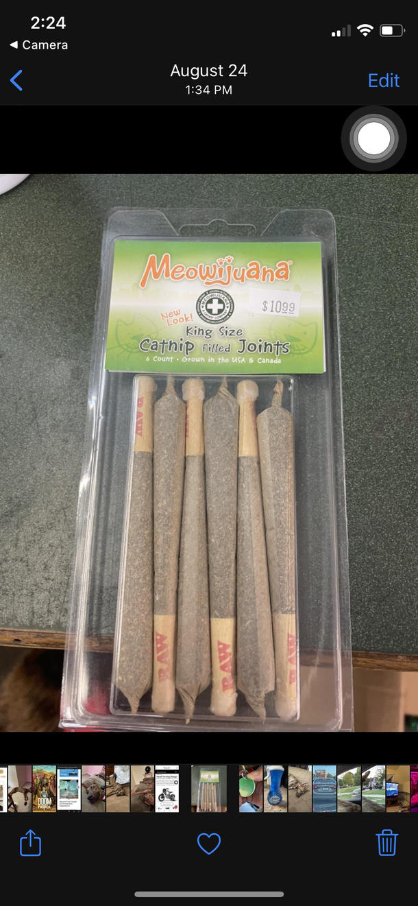 Found at my local pet store
