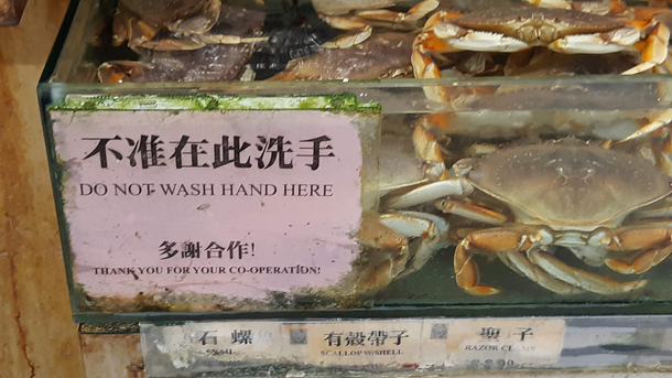 Found at my local supermarket