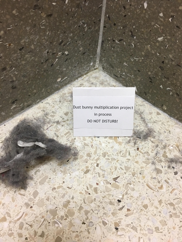 Found at work in a stairwell corner