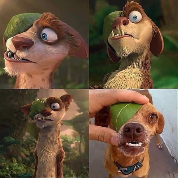 Found Him 