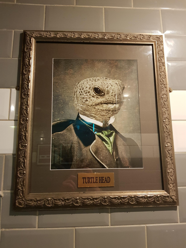 Found in a pub bathroom