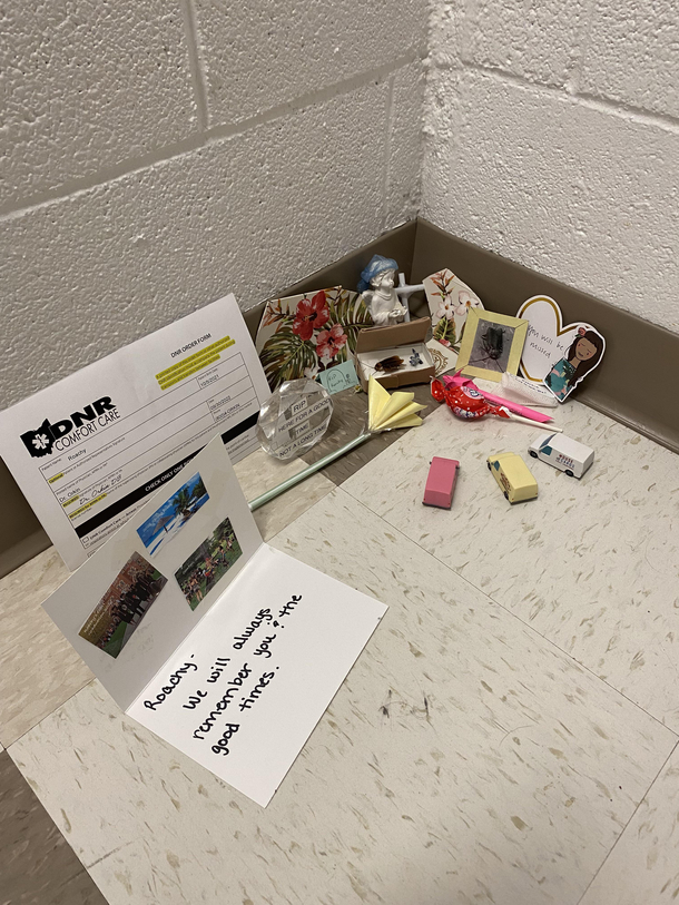 Found in a stairwell at work today RIP Roachy
