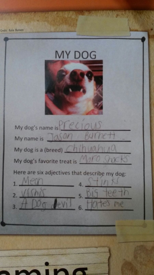 Found in a vets office