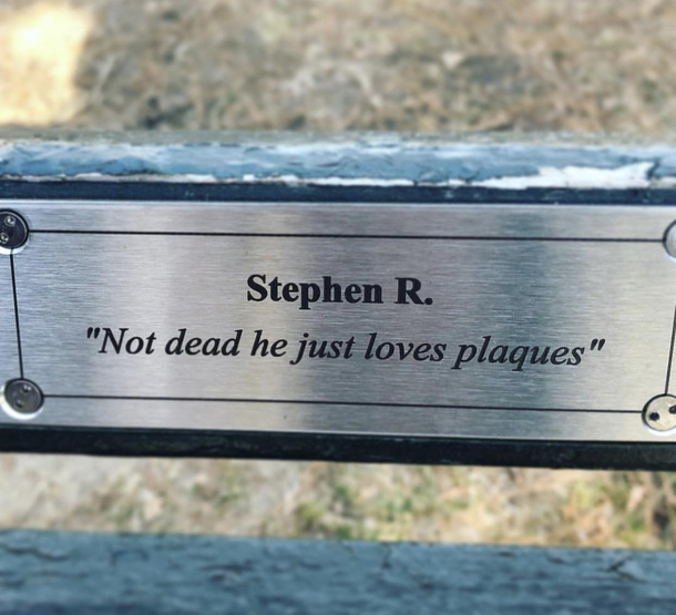 Found in Central Park Stephen if youre out there keep doing you