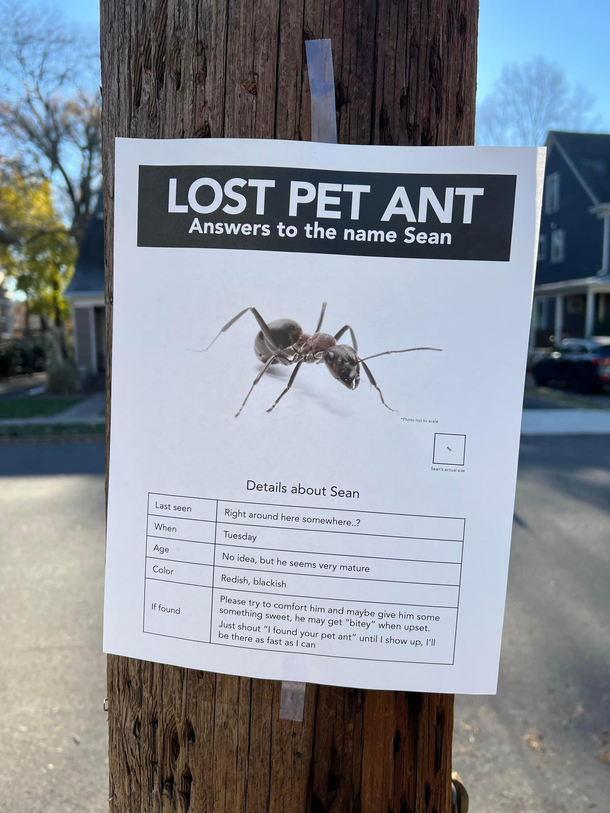 Found in my neighborhood