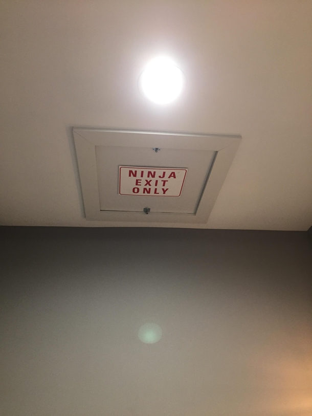 Found in the bathroom at the local pizzeria