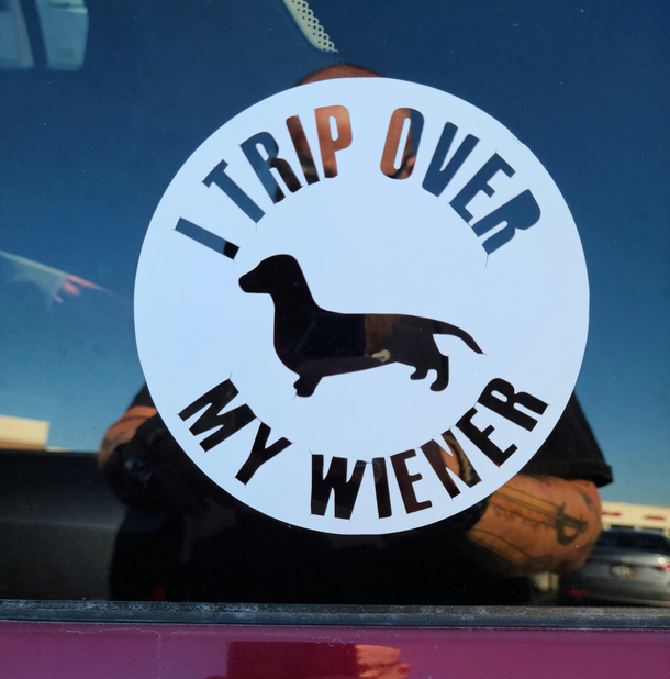 Found in the wild