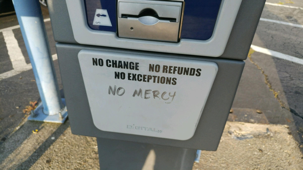Found in the wild in Nashville