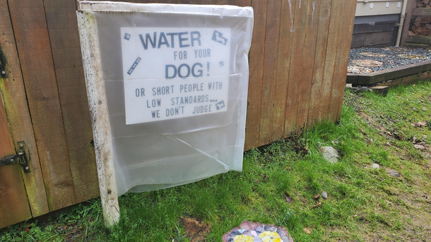 Found on a walk today