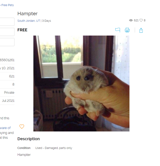 Found on my local classifieds Free section