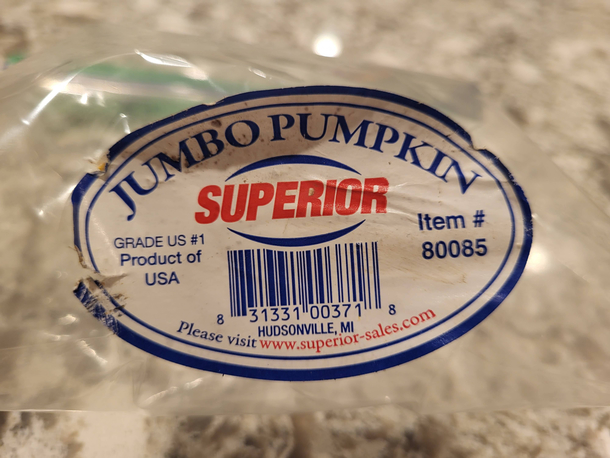 Found on my pumpkin - Item 