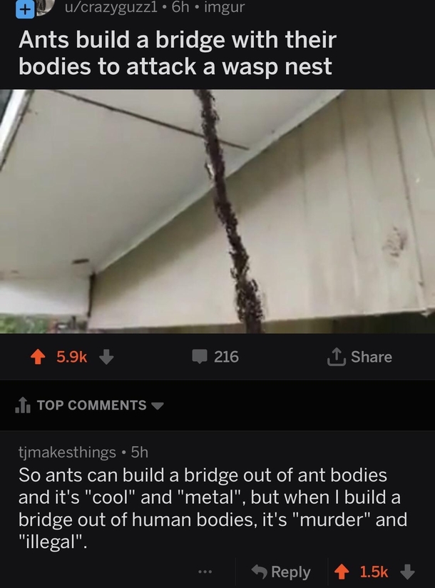 Found on rnatureismetal