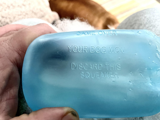 Found on the inside of a dog toy