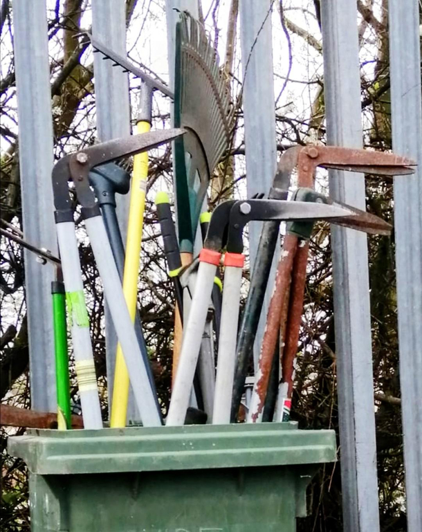 Found these nesting at my local recycling centre Any ideas what species