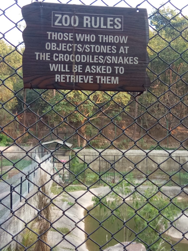 Found this at a zoo in india
