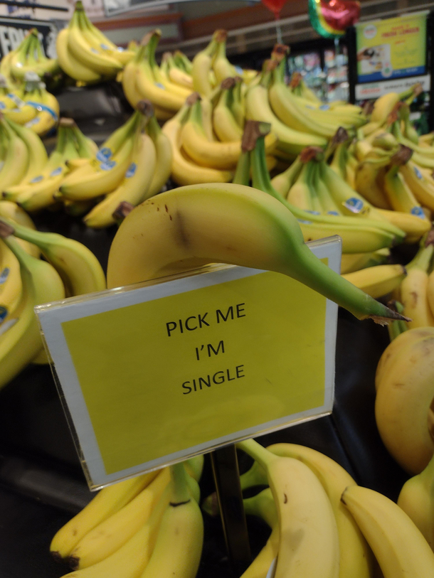 found this at the grocery store