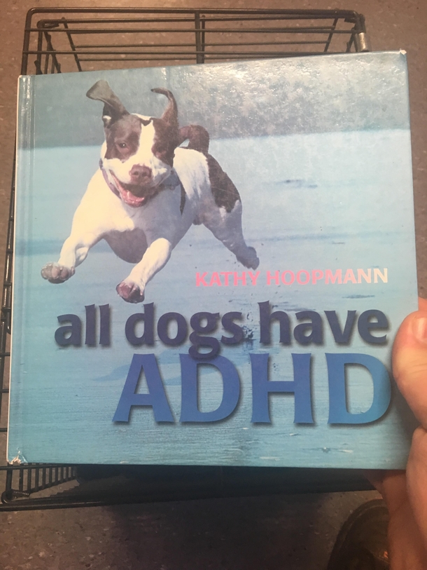 Found this book at my local vets