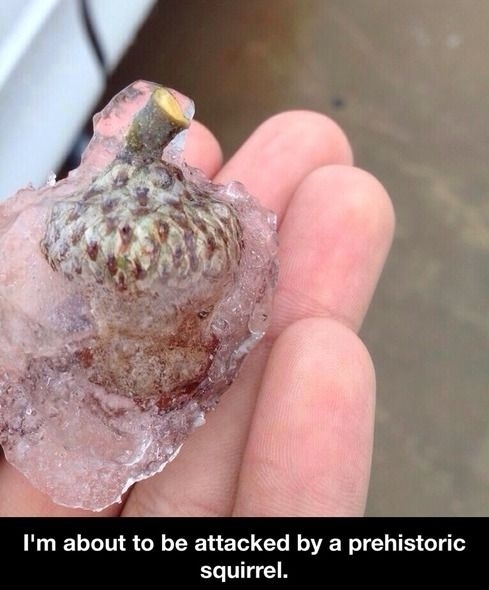 Found this earlier today
