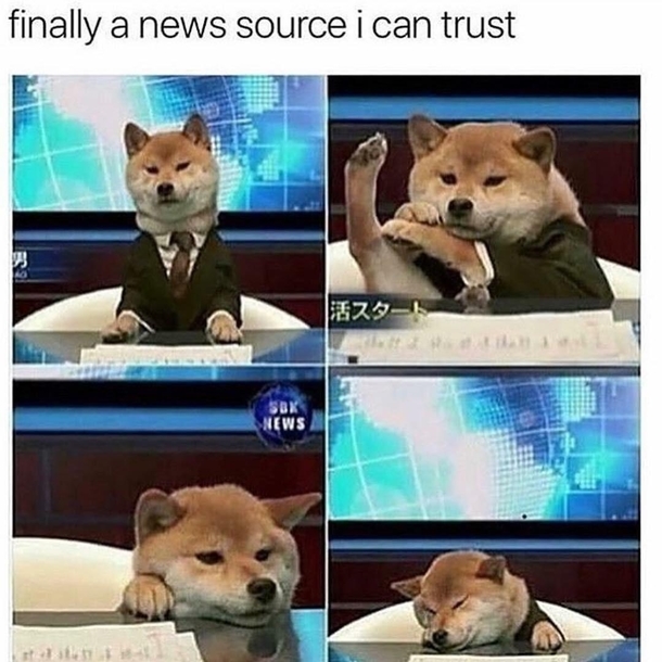 Found this funny
