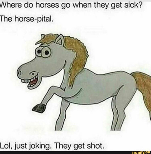Found this gem