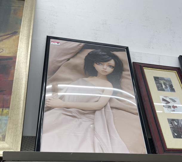 Found this gem at goodwill today