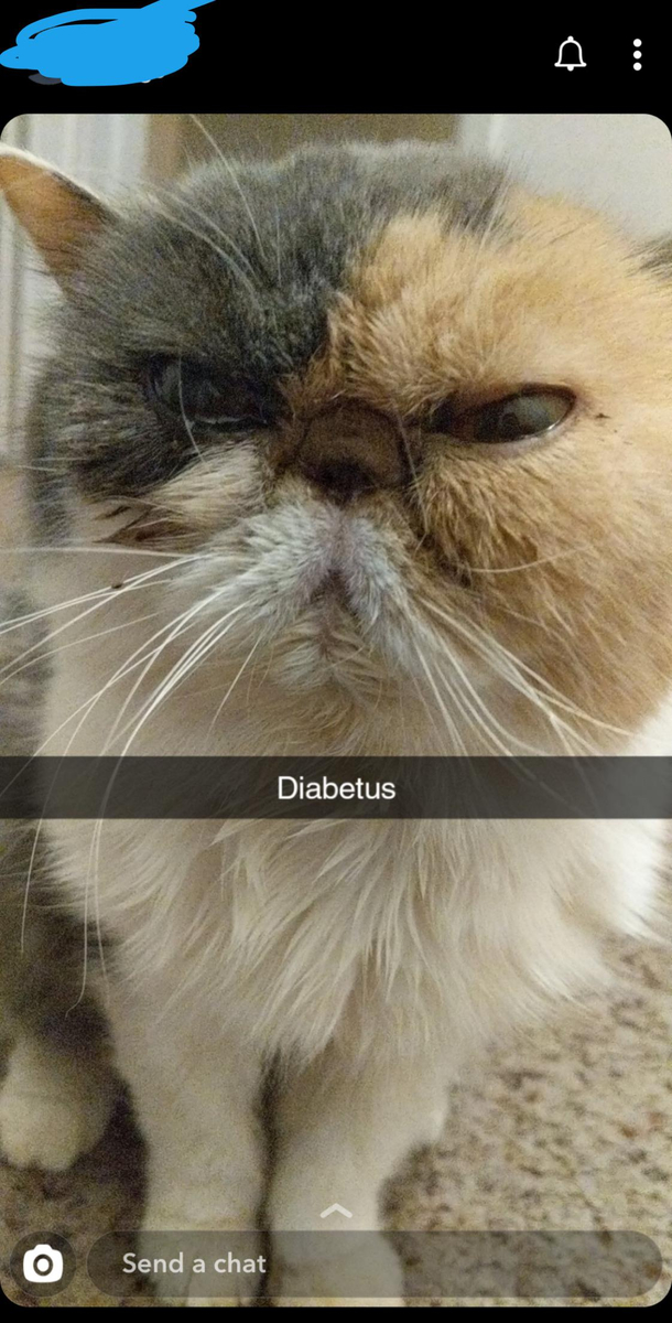 Found this gem on a friends Snapchat story