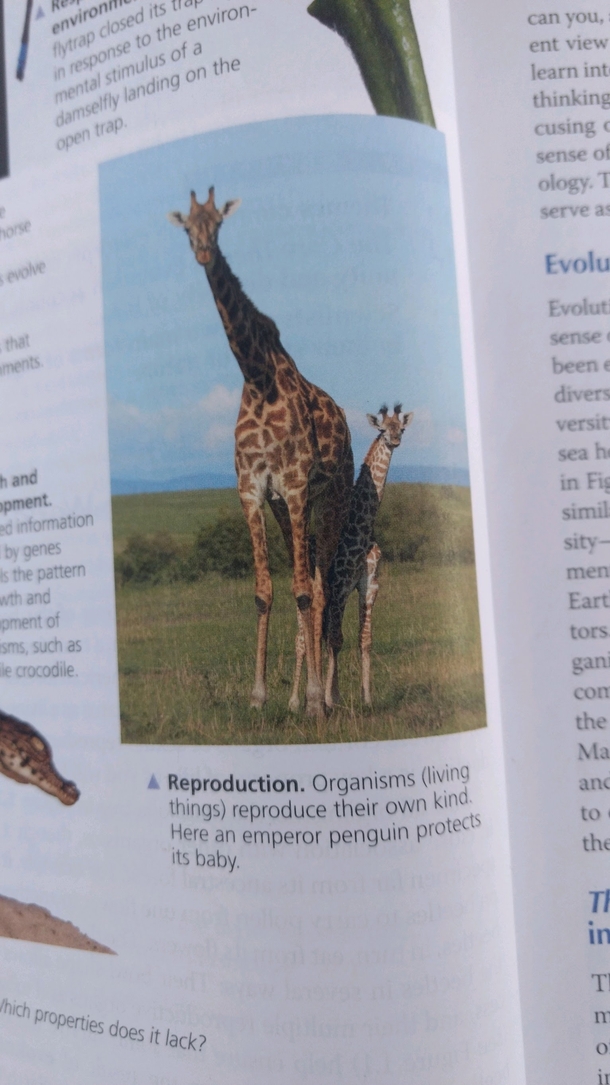 Found this gold in my AP Bio textbook