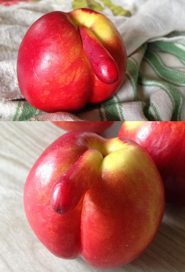 Found this in a bag of nectarines pretty sure its male