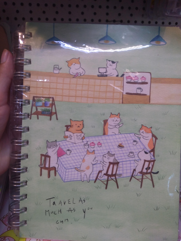 Found this in a Japanese store