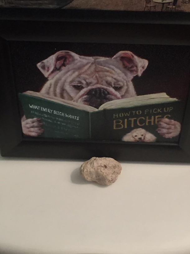 Found this in a used book stores bathroom