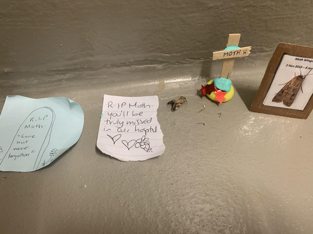 Found this in the stairwell at work today RIP little buddy