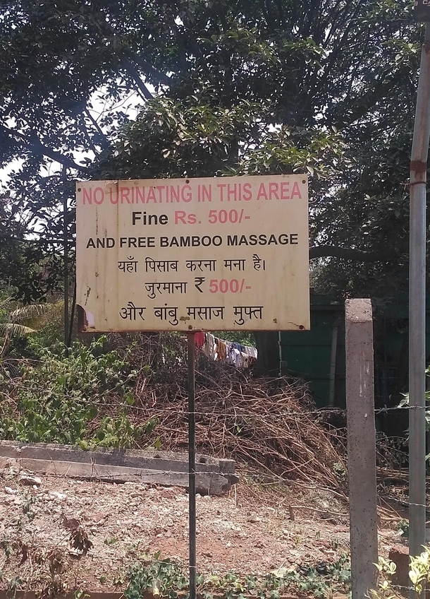 Found this on the roadside in GoaIndia