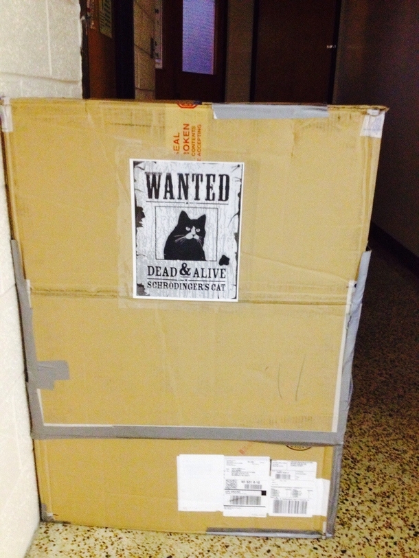 Found this outside of the physics classroom today