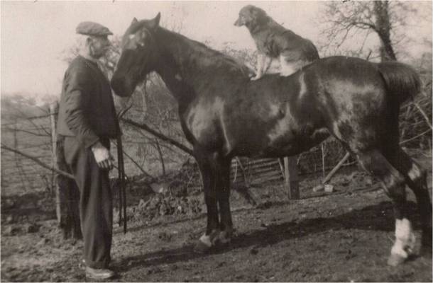 Found this photograph of my Great-great-grandfather Richard I assume the dog called shotgun