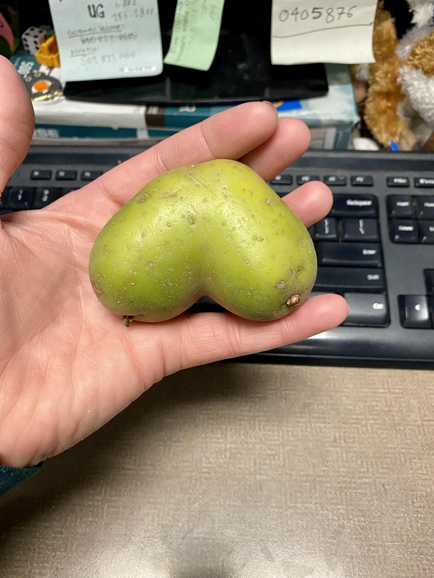 Found this potito at work