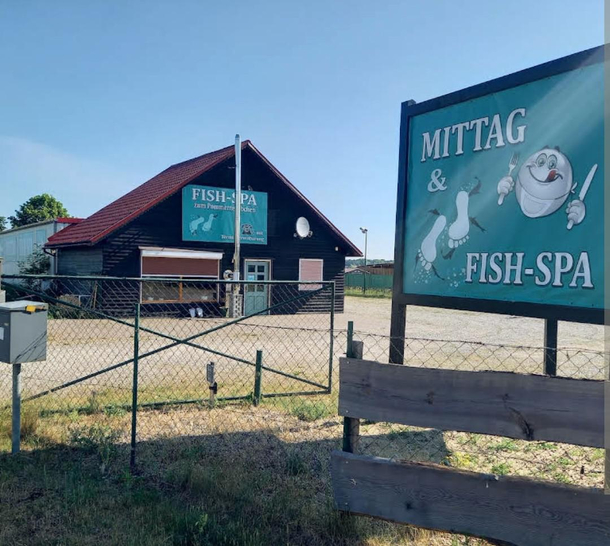 Found today and not sure if Im interested or disgusted