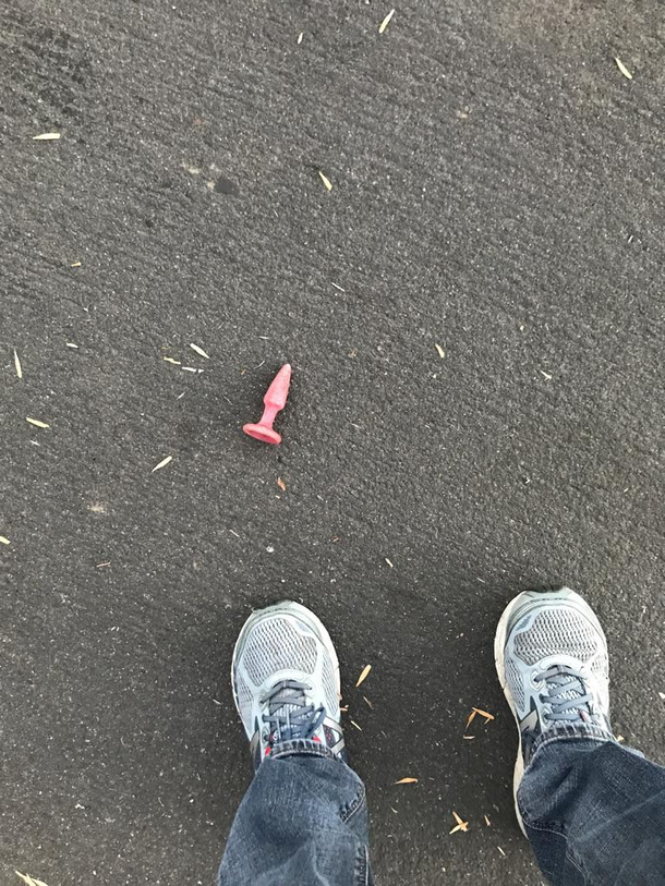 Found while walking my dog Looks like part of a starter kit