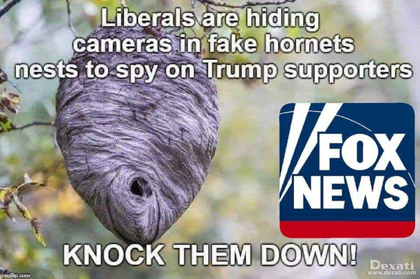 Fox News is never wrong